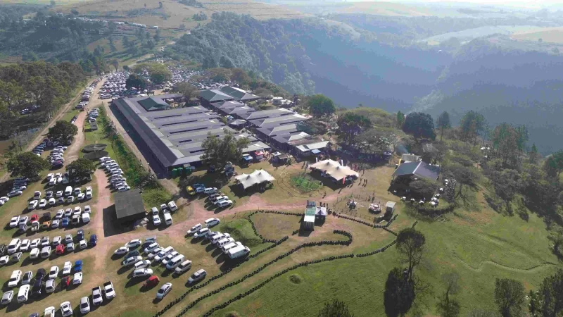 DJI 0900 (1)